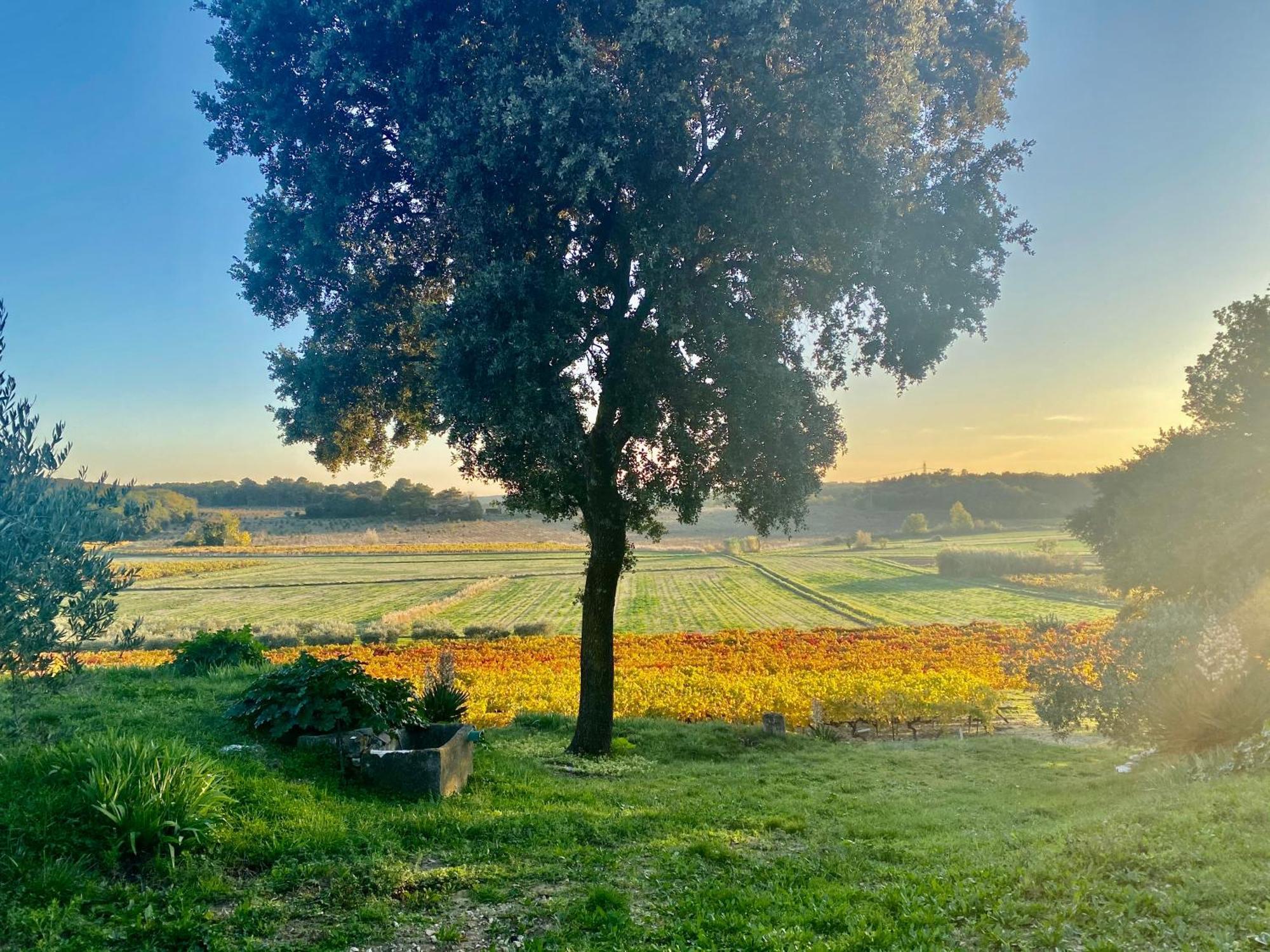 Domaine Du Commandeur Bed & Breakfast Mondragon Exterior foto
