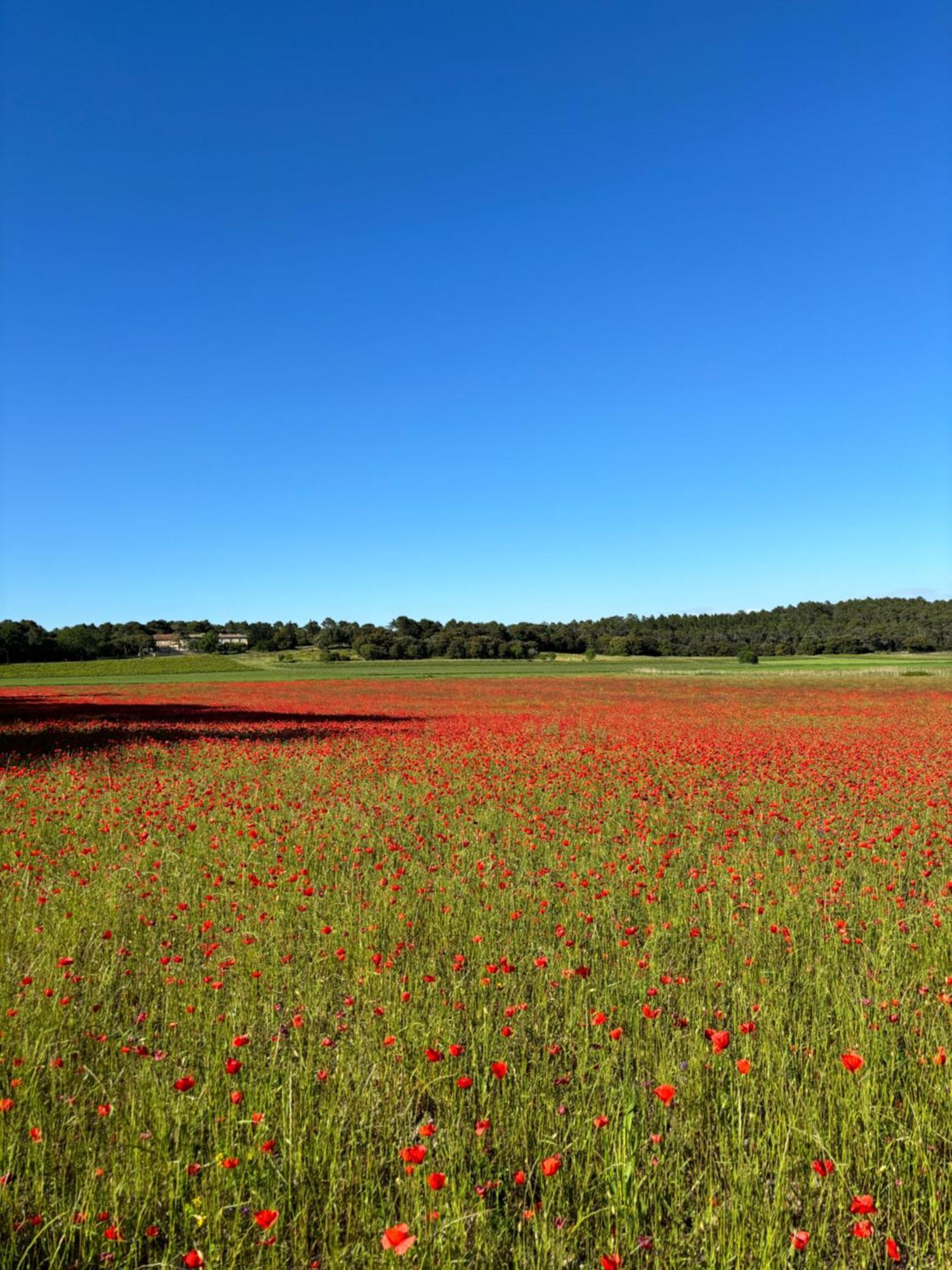 Domaine Du Commandeur Bed & Breakfast Mondragon Exterior foto